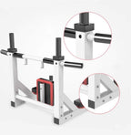 Heavy Duty Wall Mount Pull Up Dip Station