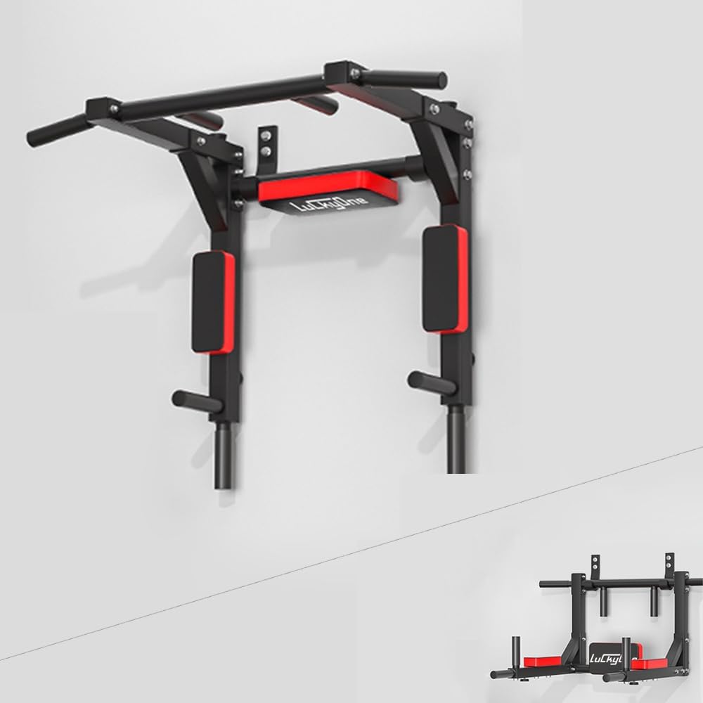 Heavy Duty Wall Mount Pull Up Dip Station