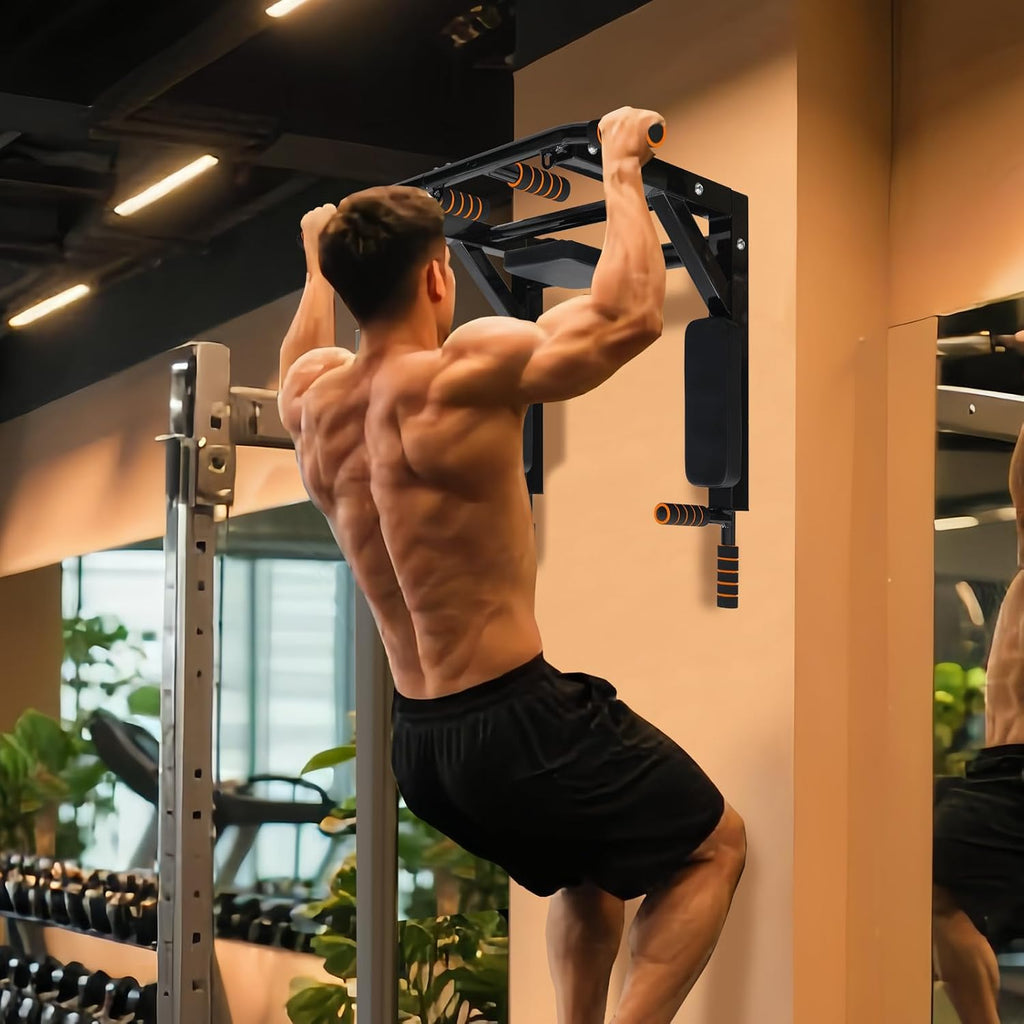Wall Mount Pull Up Bar Dip Station