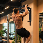 Wall Mount Pull Up Bar Dip Station