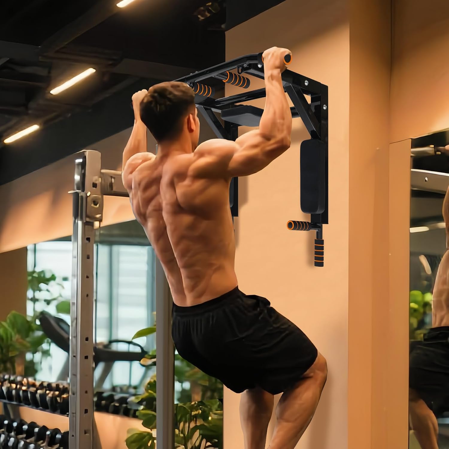 Wall Mount Pull Up Bar Dip Station